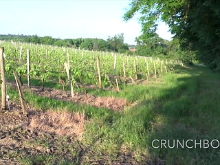 2486j Fucked Barebackj Outdoor in Cruising Foret