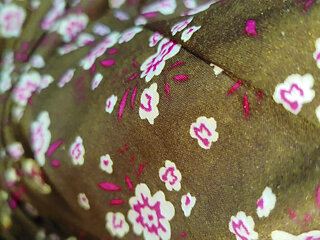 A poor girl with stepbrother