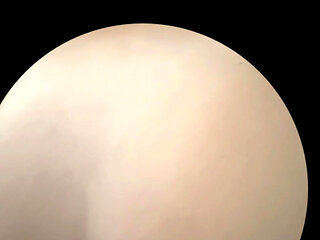 Amazing couples fuck