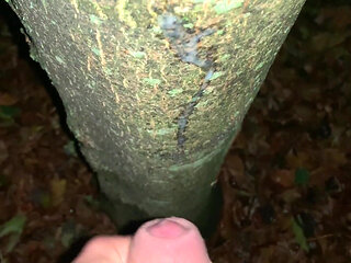 Cumshot on a Tree and Close up Look on My Fresh Load