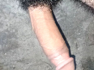 Long Indian dick