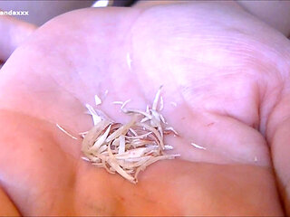 Worship My Goddess Feet & Toenail Clippings