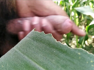 Hairy Big Cock, Lund Porn Video HD