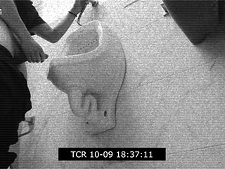 Arrives after the GYM to give yourself a good