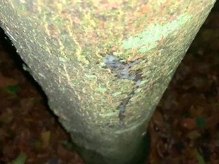 Cumshot on a Tree and Close up Look on My Fresh Load