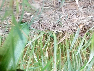 Anal fucking with a thick cucumber.