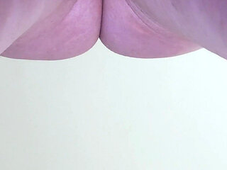 Close-up Shot of Pussy