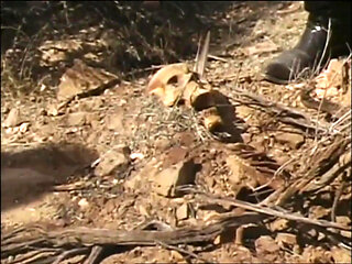 Sunrise and Olivia of Gozonas (film)