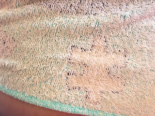 I Love Exhibitionism, It Excites Me a Lot to Jump on a Cock While There Are People Around