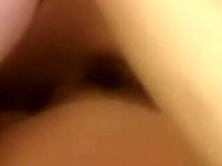 Cuckold the Bull at Home