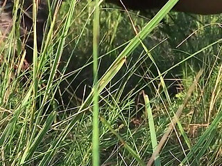 Peeing in the Grass in a Meadow