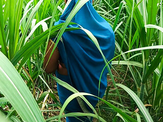 Desi bhabhi ki chudai mouth and gand in sugarcane field in Indian porn video
