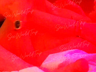 Sexworldtrip - Amateur Hot Latina in Red Light Hotel Room, Real Homemade Sucking & Fucking