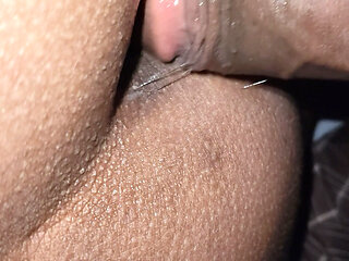 Sex body