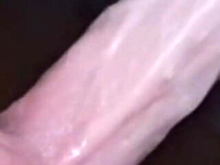 I Love to Give Myself Orgasms with a Vibrator and Put the Lovense Hush Toy in My Ass While It Vibrates in My Ass