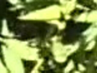 Fun Under the Bridge