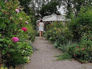Naked below in the rose garden