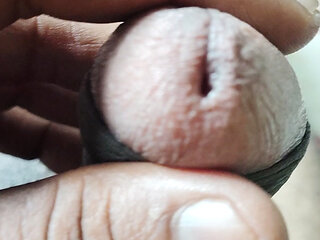 Indian Artist Sperm Available for reproduction