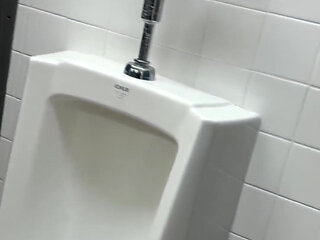 Public Sink Piss