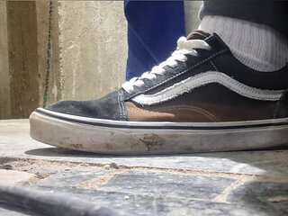 I'm Showing off My Vans Shoes, a Compilation of the Best with Vans