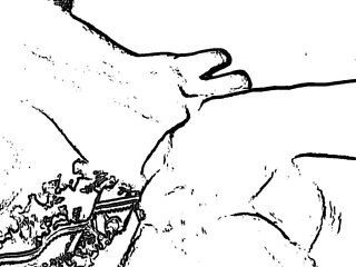 i Hardcore Sex Desi Style