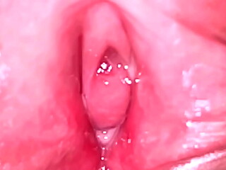 Unbelievable! Take a picture of a virgin pussy! There is no hole to put your dick in! Can you find it?