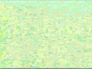 mesmerize-tansau