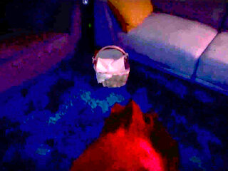 At home you will get a really cool blowjob and can also film it