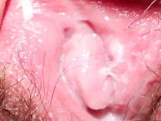 An Extreme Close-up of the Creamiest Pussy