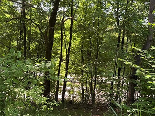 Naked on the highway - recovery after a long car ride