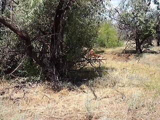 Shy  Aboriginal