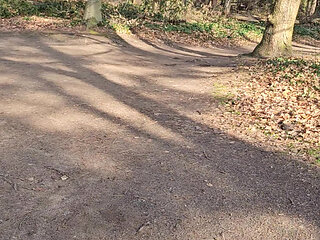 public park, dick jerked off