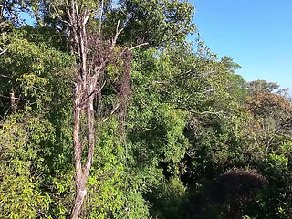 Drone Flagra casal transando na trilha do morro Itacolomi em Gravatai