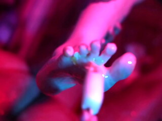Cutie Piie Rubs Popsicle On Bia'_s Feet