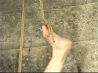 Billy Beef, Contractor #1, Contractor#5, Contractor #2, Contractor #3, Contractor #4 and Mallory Kno