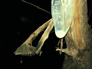 Middle Eastern Twink with Big Dick Cums on Used Condoms at Public