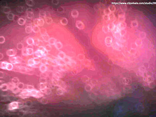 B013 Slave Made Into Women's Underwear