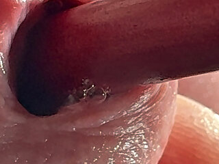 Satisfying cock from the inside