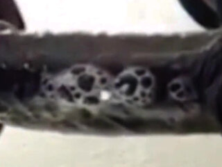 Best CIM blowjob ever