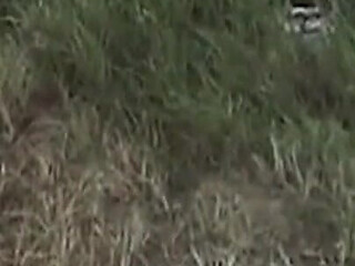 Mature Brunette Babe Devours Pussy in Wild Outdoor Lesbian Feast