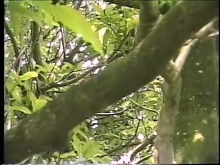 Horny guy taking dick in his ass and gives BJ in a tree and gets creamed