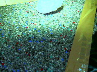 Sex Therapist Sucks Cock with Passionate Hunger