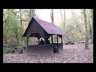 Hot Young Sluts Episode 2 - Big Tits Blowjob and Vintage HD