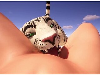 Car Toon In Wonderful Vacation ( Wild Life )