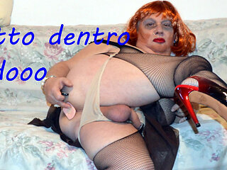 Thu disguises the cow