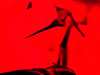 You're Destined to Lick My Soles for Hours