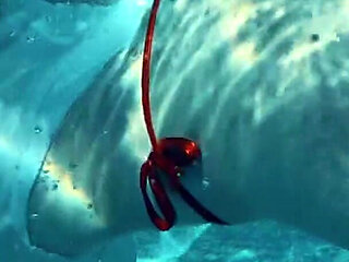 Join Me in the Pool, on My Mv Crush