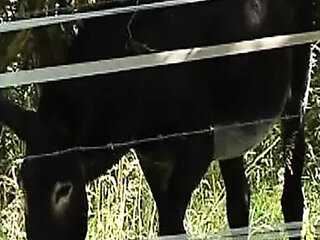 Chocolate French Slut Takes Two Big Dicks Outdoors in Hot Anal Threesome