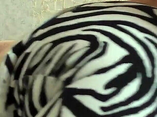 A Stranger in a Zebra Costume Fucks Hard and Sucks a Big Dick