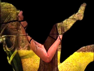 My Summer of Shibari